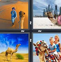 4 Pics 1 Word Camel