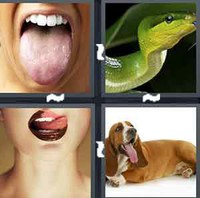 4 Pics 1 Word Tongue 