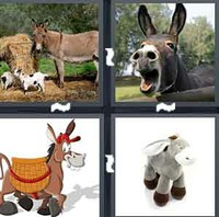 4 Pics 1 Word Donkey 