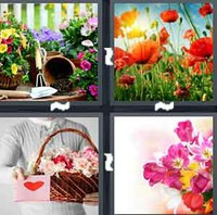4 Pics 1 Word Flowers