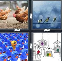 4 Pics 1 Word Birds