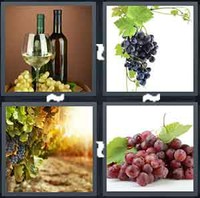 4 Pics 1 Word Grape 