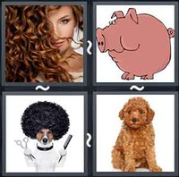 4 Pics 1 Word Curly 