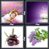 4 Pics 1 Word Purple 
