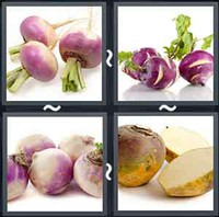 4 Pics 1 Word Turnip 