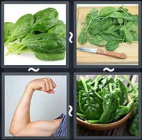 4 Pics 1 Word Spinach 