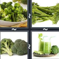 4 Pics 1 Word Broccoli