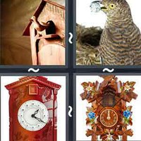 4 Pics 1 Word Cuckoo