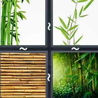 4 Pics 1 Word Bamboo