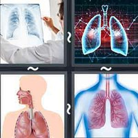 4 Pics 1 Word Lungs