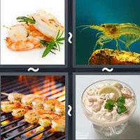 4 Pics 1 Word Shrimp
