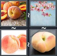 4 Pics 1 Word Peach 