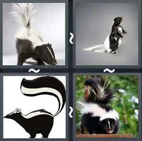 4 Pics 1 Word Skunk 