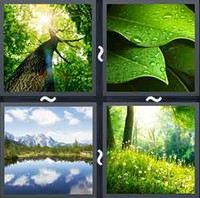 4 Pics 1 Word Nature 
