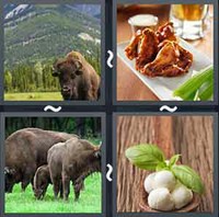 4 Pics 1 Word Buffalo 