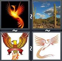 4 Pics 1 Word Phoenix 