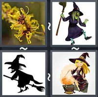 4 Pics 1 Word Witch 