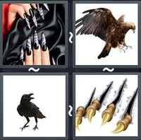 4 Pics 1 Word Talon 