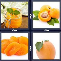 4 Pics 1 Word Apricot