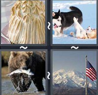 4 Pics 1 Word Alaska