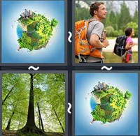 4 Pics 1 Word Forest