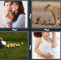 4 Pics 1 Word Mother 