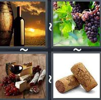 4 Pics 1 Word Wine 