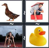 4 Pics 1 Word Duck 