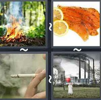 4 Pics 1 Word Smoke 