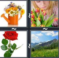 4 Pics 1 Word Flower 