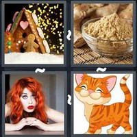 4 Pics 1 Word Ginger