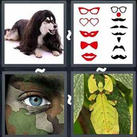 4 Pics 1 Word Levels Disguise