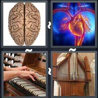 4 Pics 1 Word Organ
