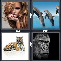 4 Pics 1 Word Levels Mammal