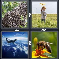 4 Pics 1 Word Levels Drone