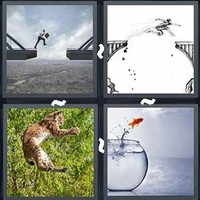 4 Pics 1 Word Levels Leaping